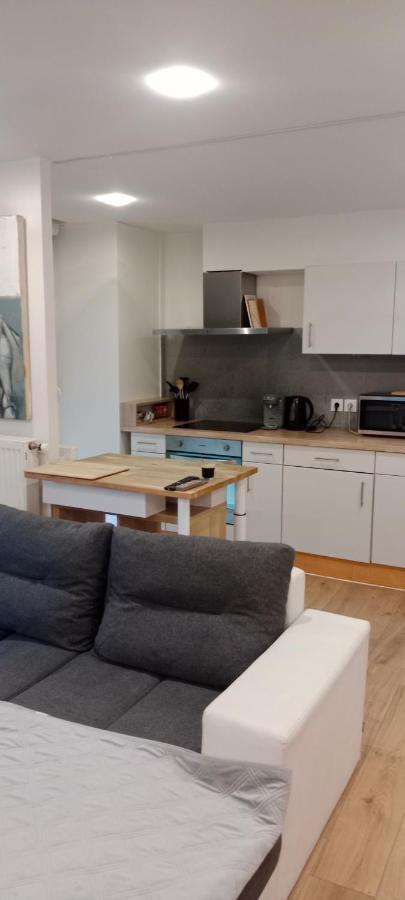 Tres Bel Appartement Rez De Jardin Appart De 53M2. Pfastatt Ngoại thất bức ảnh